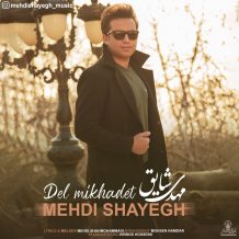 دانلود آهنگ جدید مهدی شایق به نام دل میخوادت